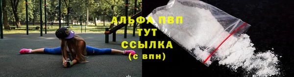 стафф Медногорск