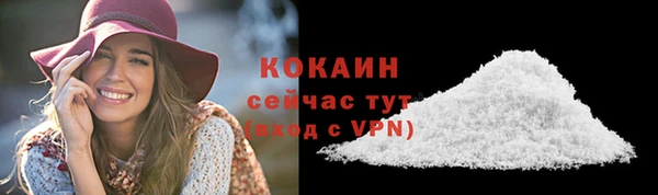 прущий лед Алзамай