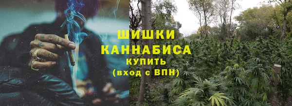 индика Майский