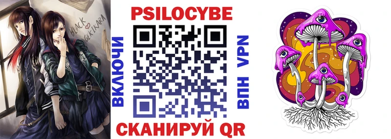Галлюциногенные грибы Psilocybe  цена наркотик  MEGA сайт  Новоульяновск 
